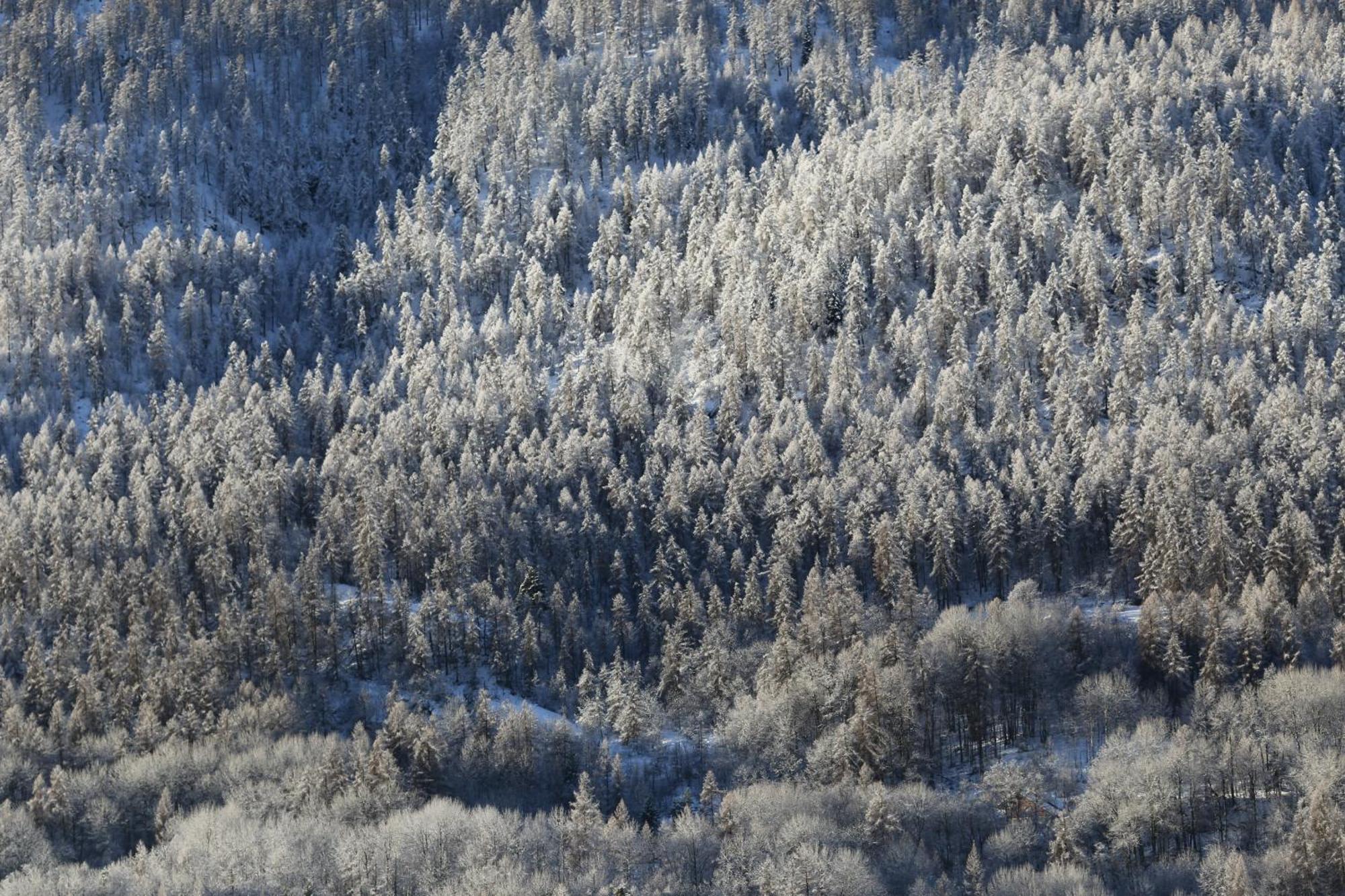 Maison De Montagne Serre Chevalier แซ็งต์-ชาเฟรย์ ภายนอก รูปภาพ